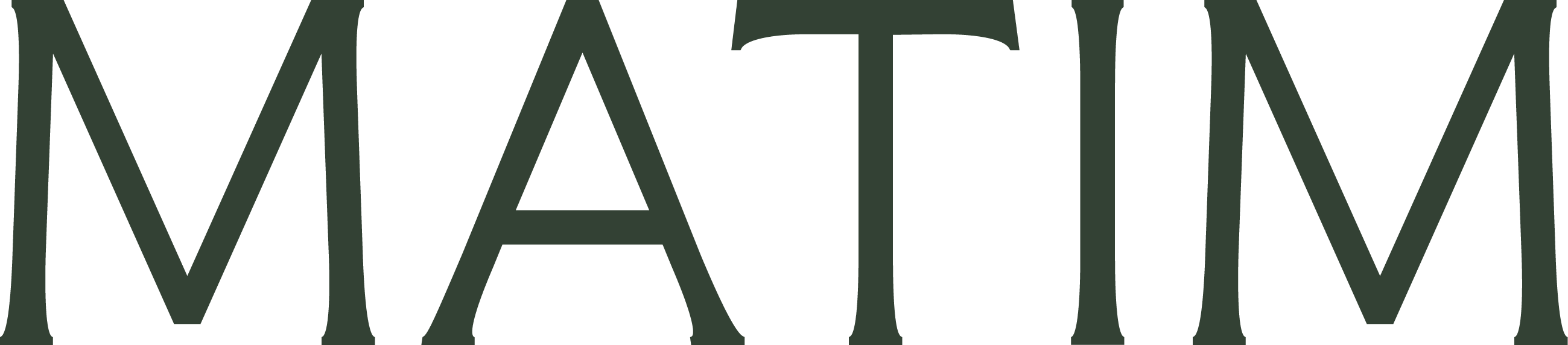 MATIM Immobilier